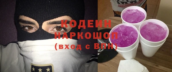 крисы Каменка