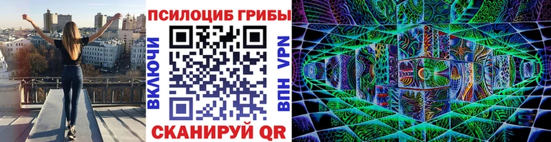 Галлюциногенные грибы Psilocybe  Сосногорск 